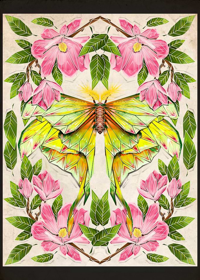moth and magnolia