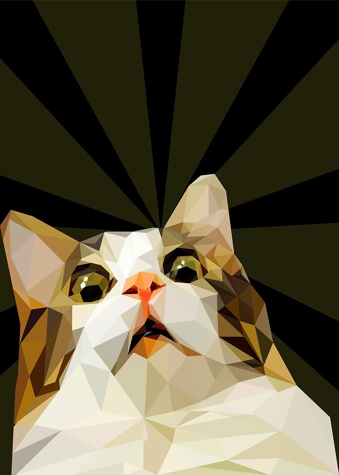 scary cat meme