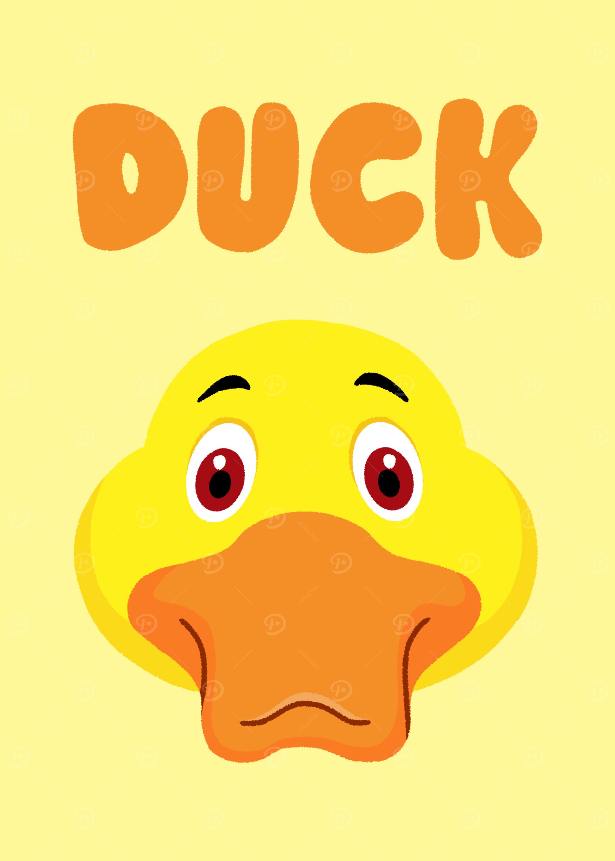 cute duck