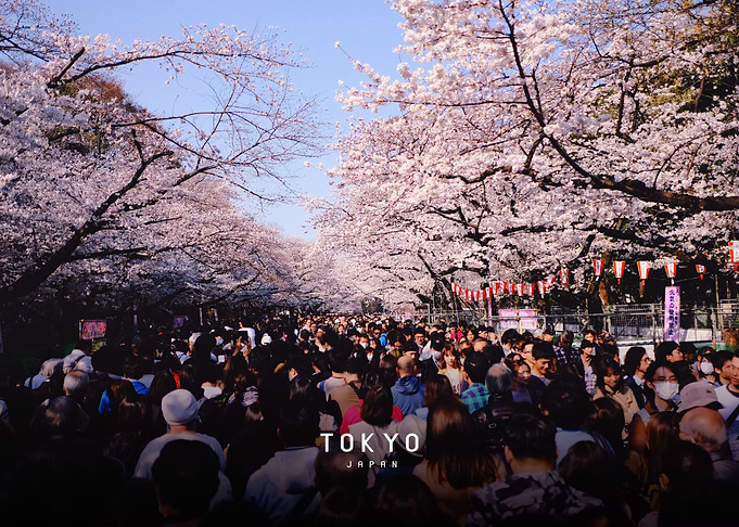 Tokyo