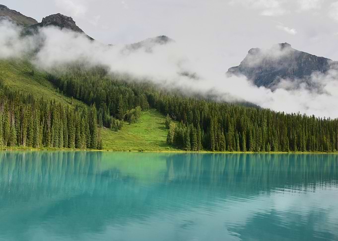 Landscapes