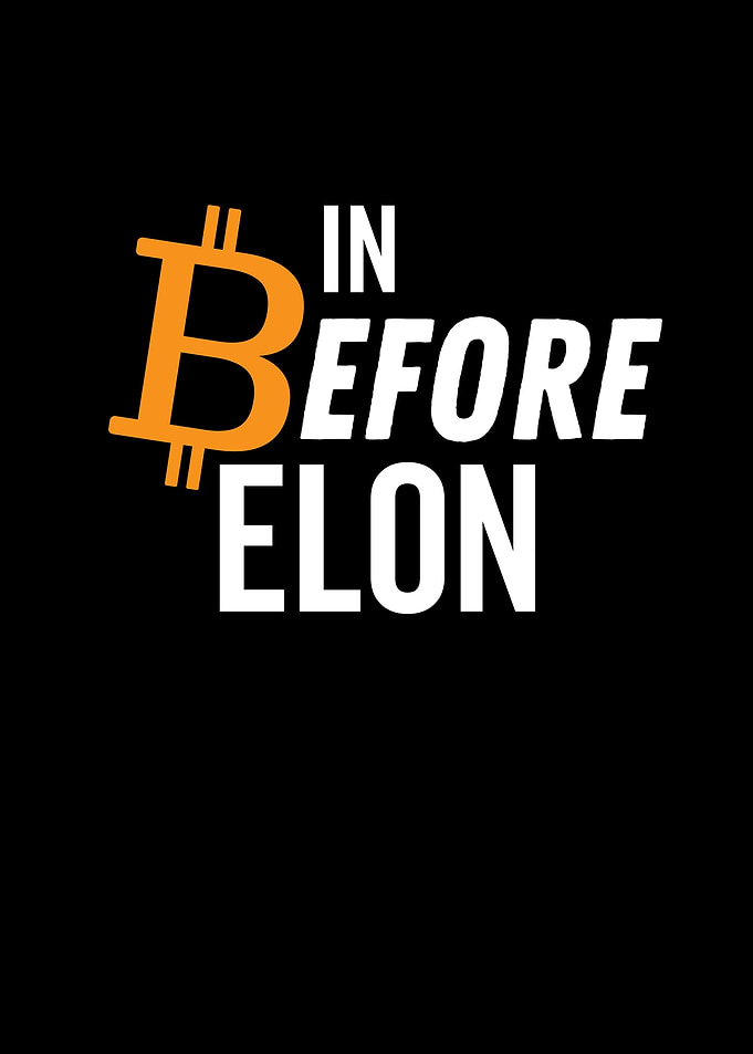 Bitcoin In Before Elon