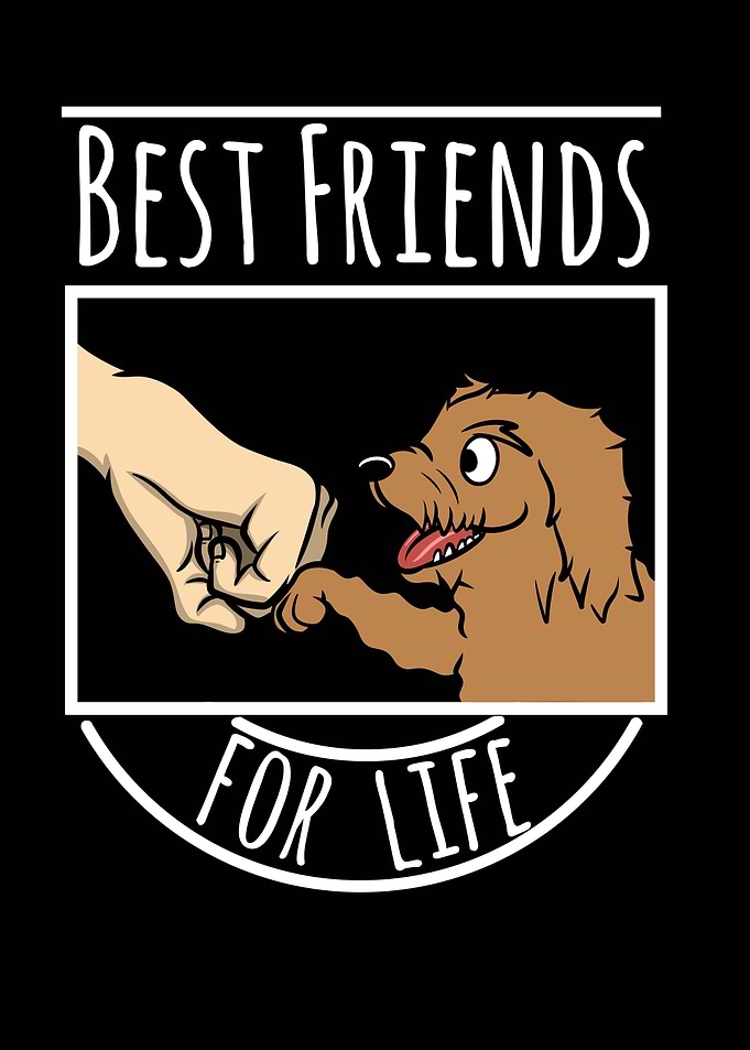 Goldendoodle Best Friends