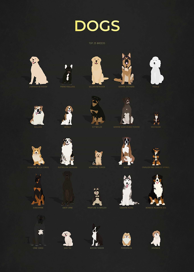 Dogs Collection Gold