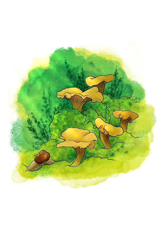 Golden August