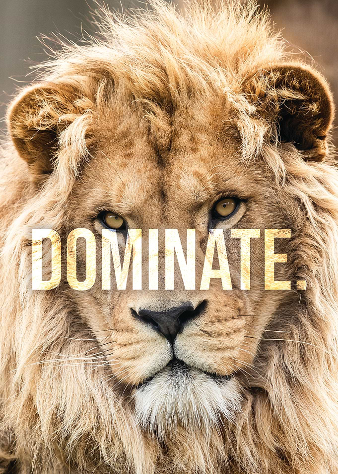 Dominate Lion Motivation