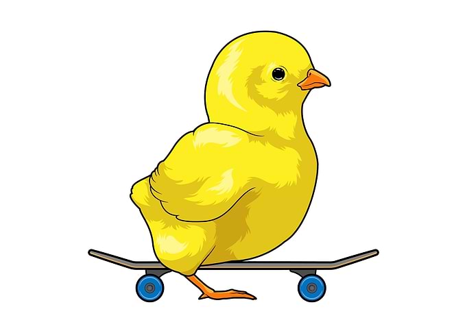 Chick Skater Skateboard