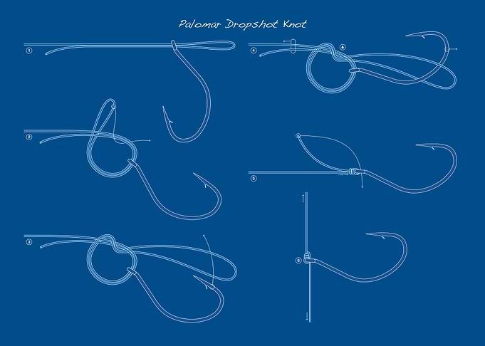 Fishing Knots