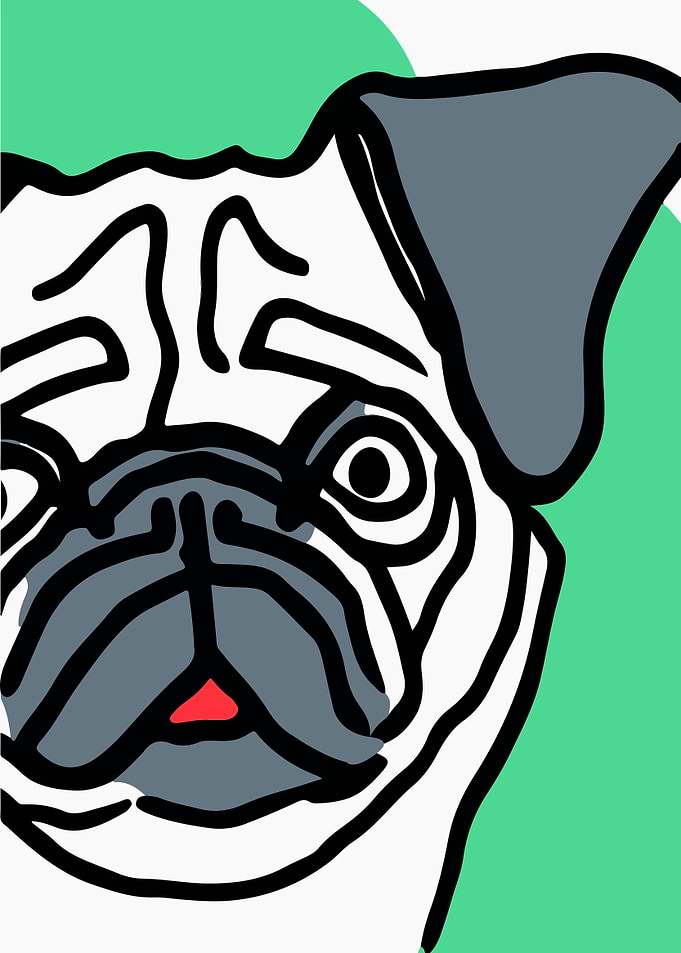 Pug Dog Poster
