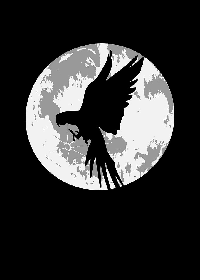 Parrot moon in the dark