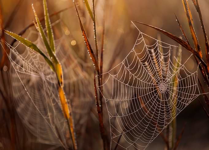 Autumn morning