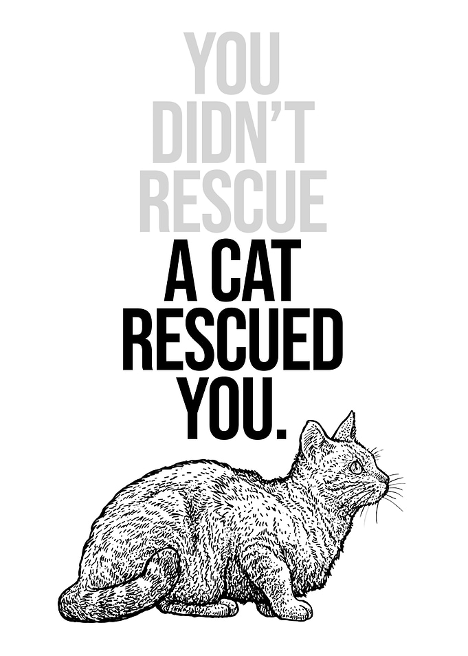 Sweet Rescue Cat Quote