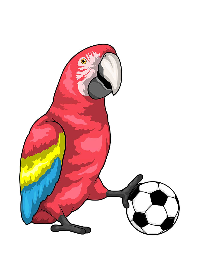 Parrot Soccer Sports