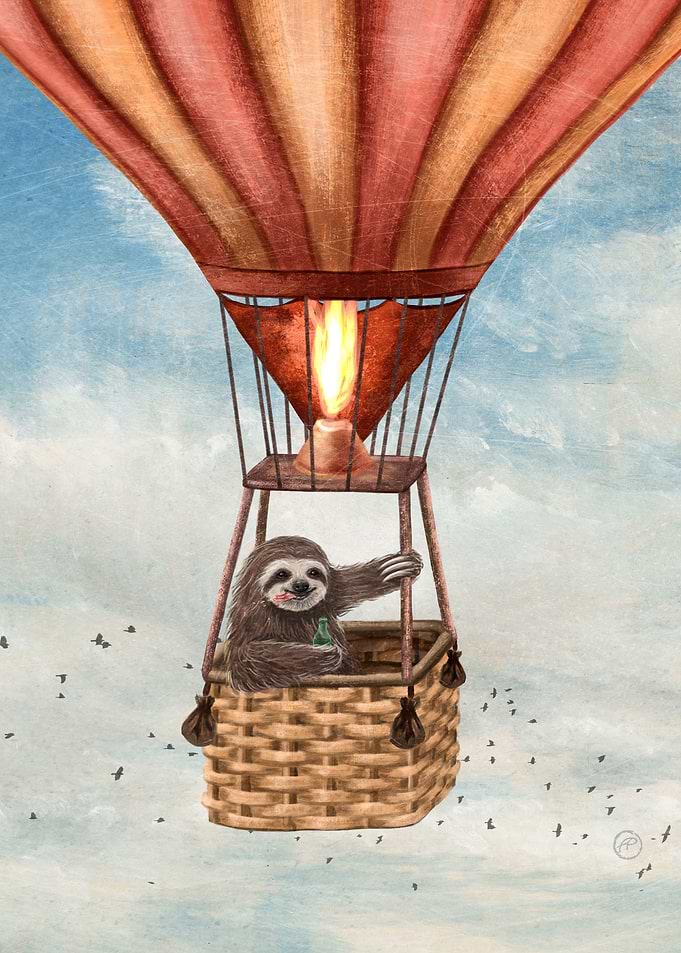 A Sloth Around The World