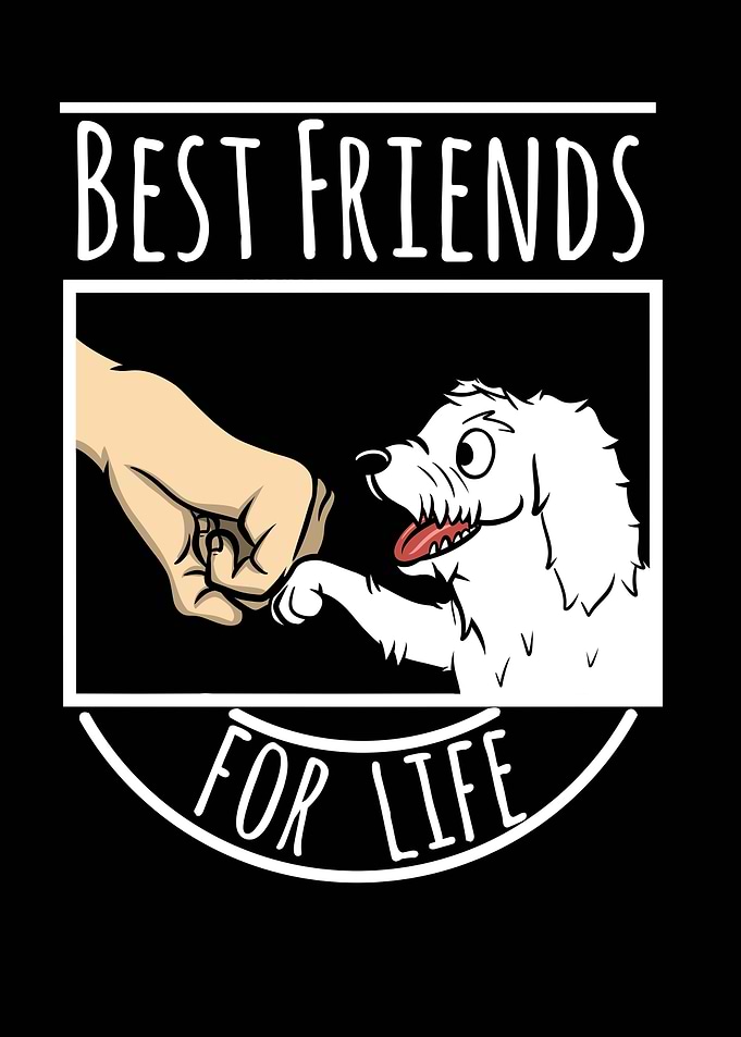 Maltese Best Friends