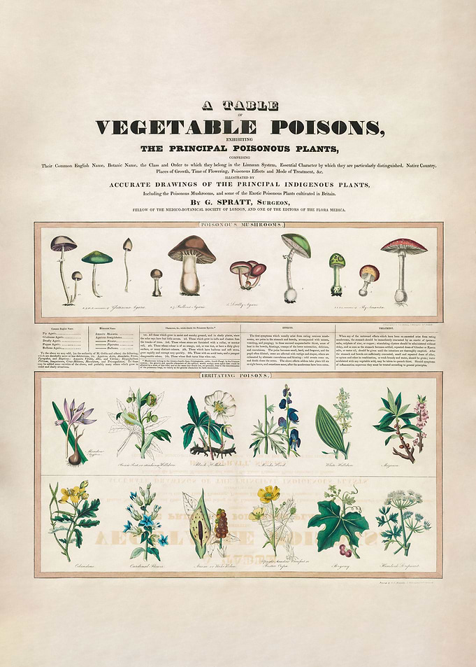 Poisonous mushrooms