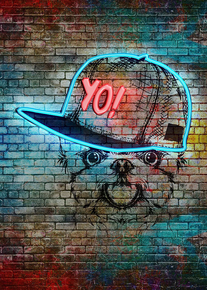 Dog portrait in hip hop