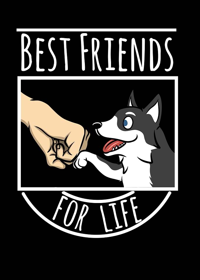 Husky Best Friends