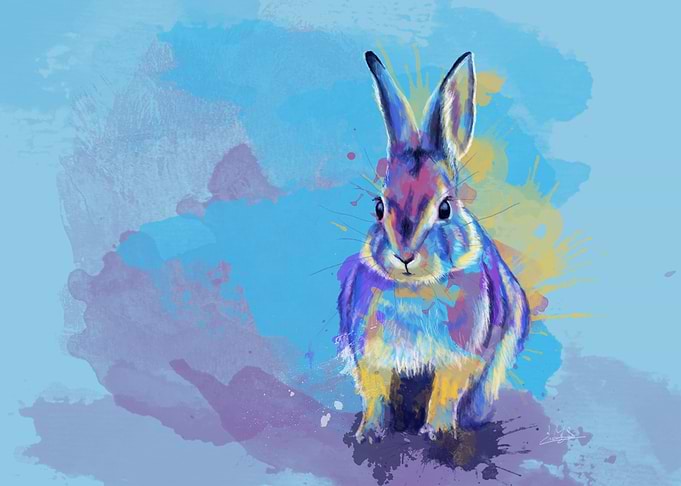 Bunny Dream