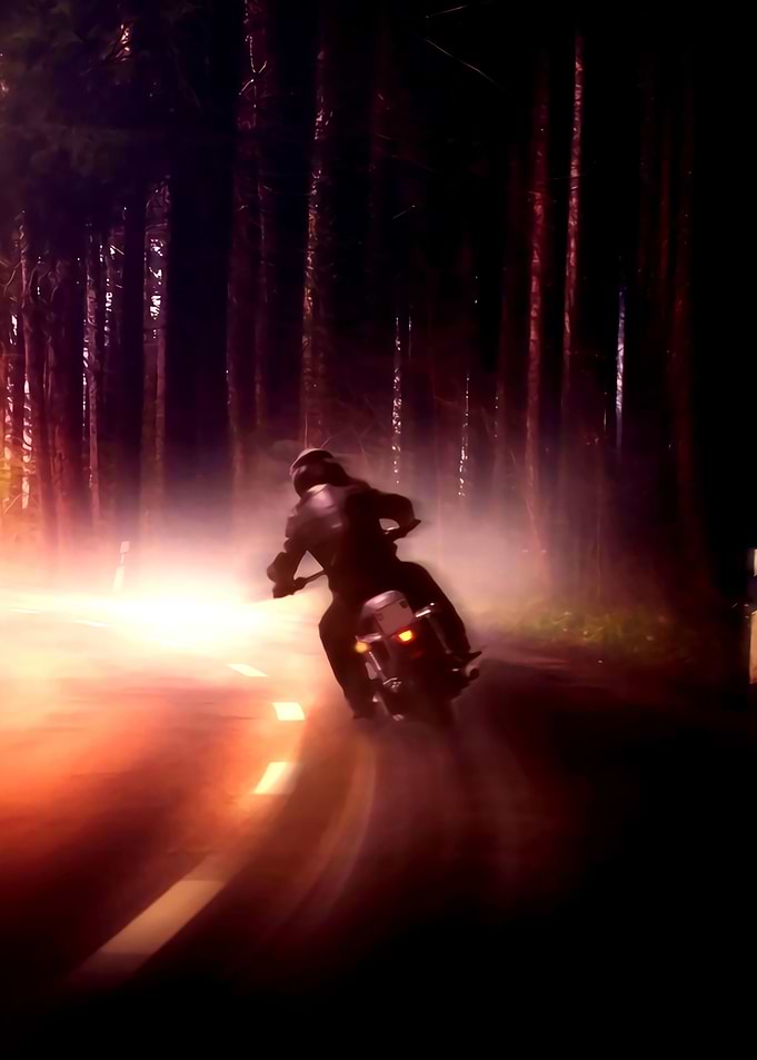 Harley davidson