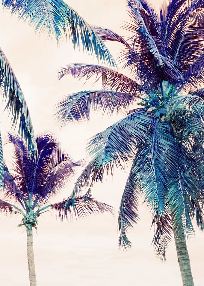 Summer Palm Trees Dream 1