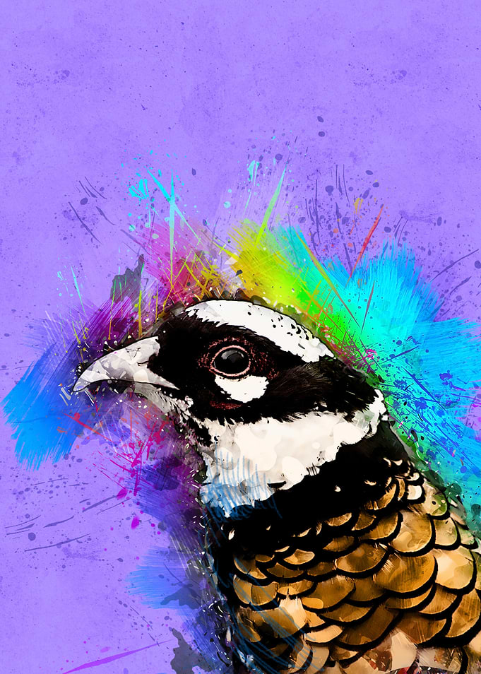 Bird 187