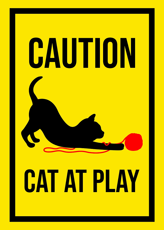 Cute Funny Cat Sign Play