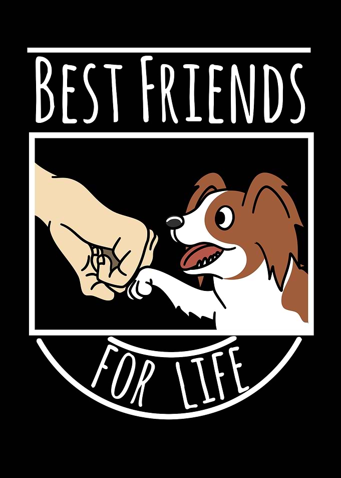 Papillon Best Friends