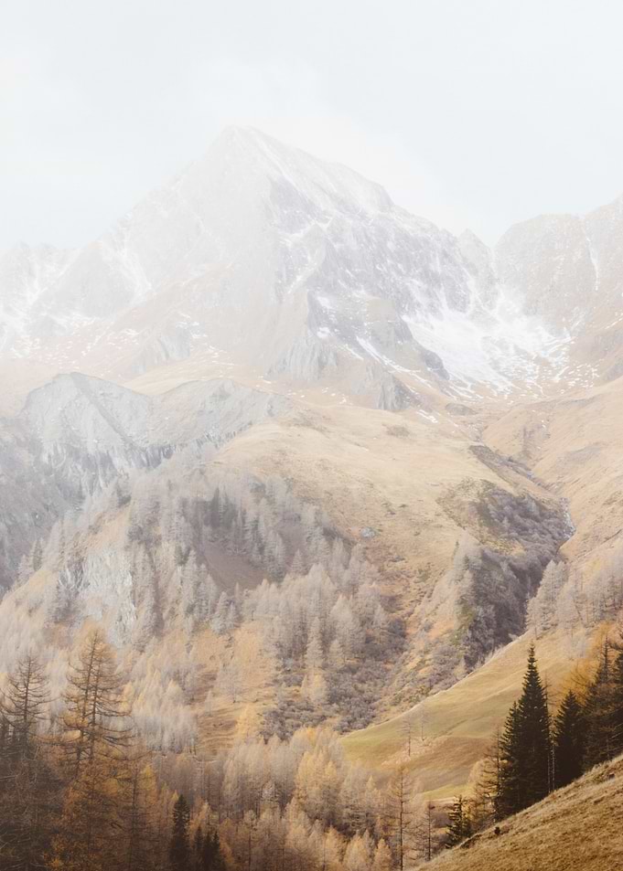 Swiss Alps