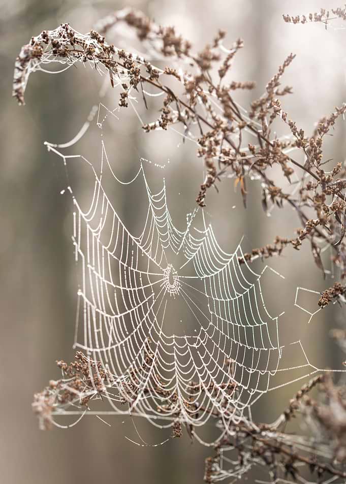 Autumn impression