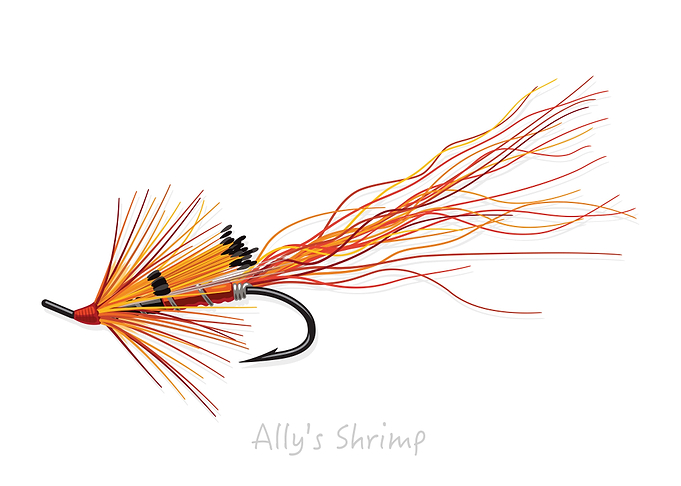 Fly Fishing Flies