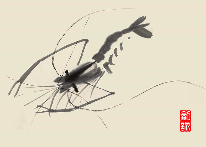Shrimp1