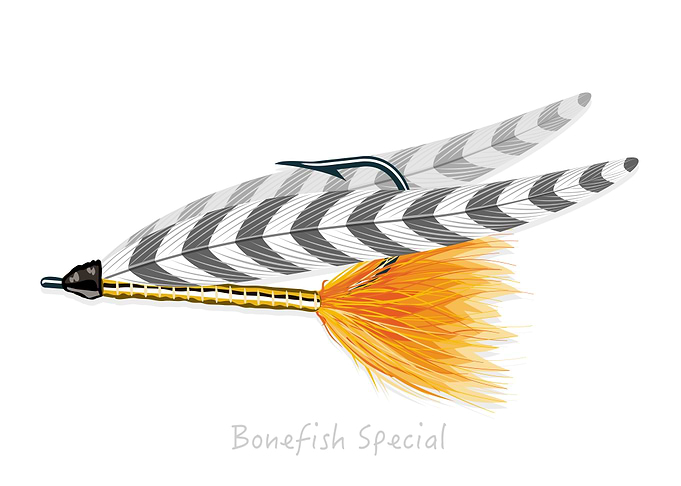 Fly Fishing Flies