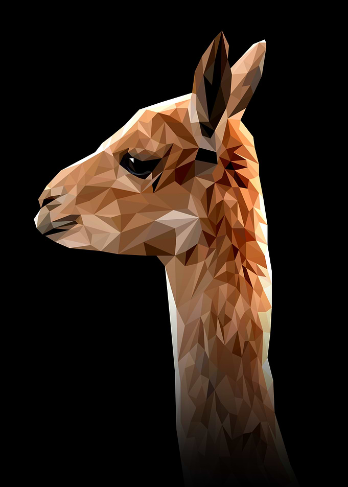 Alpaca