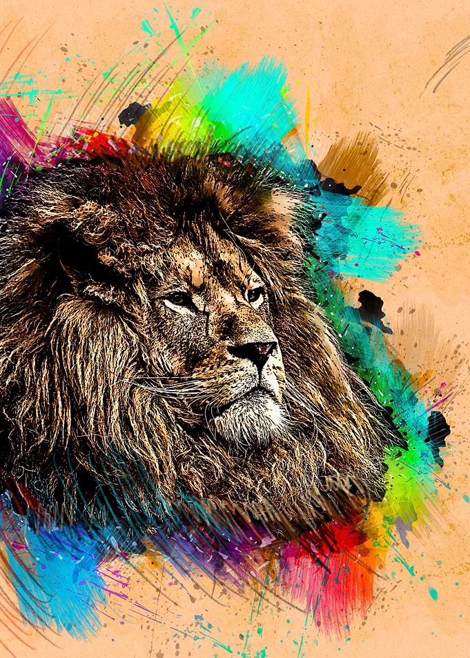 Lion 197