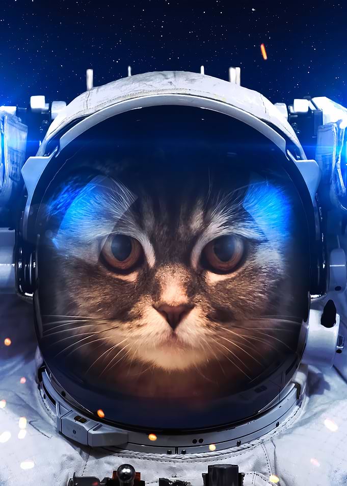 Brave Cat Astronaut