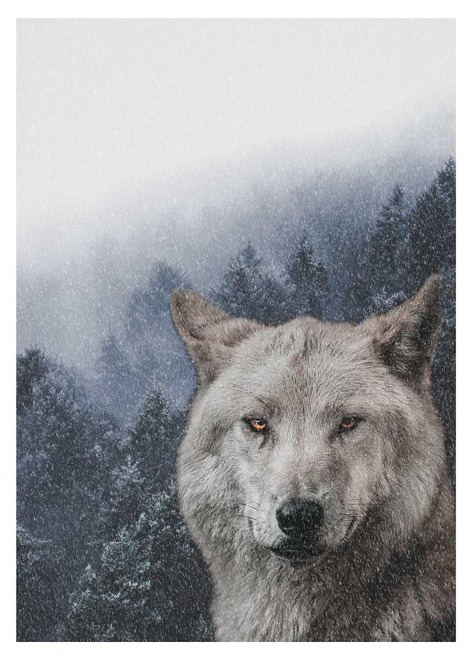 Winter wolf
