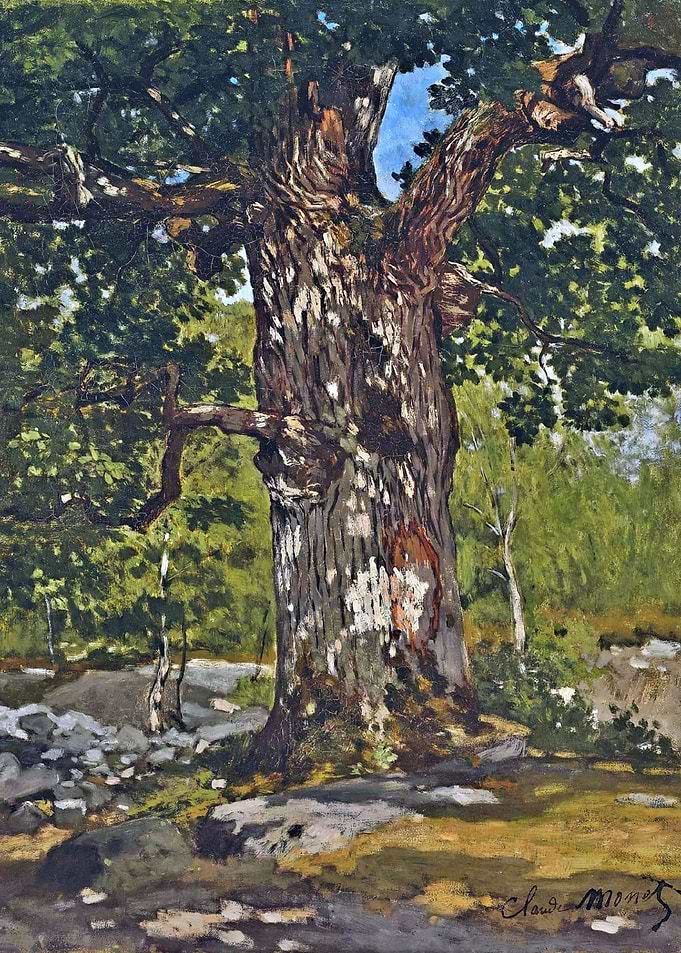 the bodmer oak by Monet