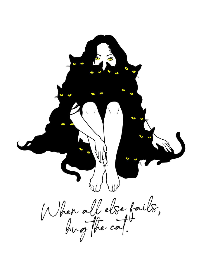 Cute Sweet Quote About Cat