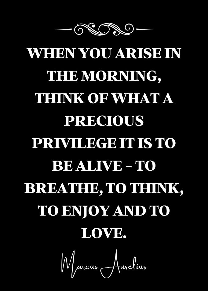 Stoic Quote