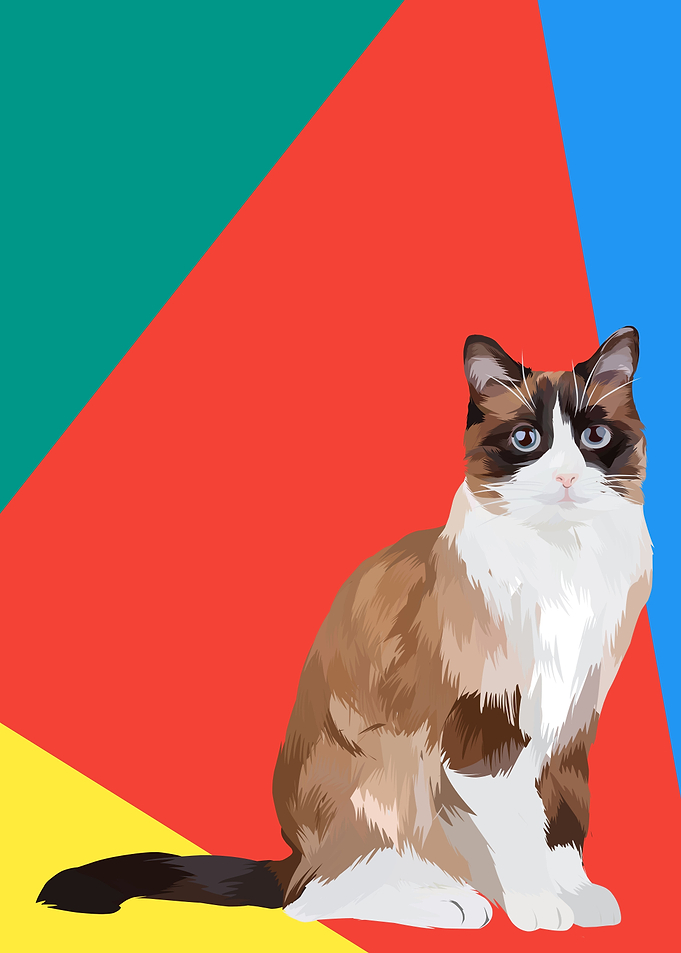 Snowshoe cat in vector