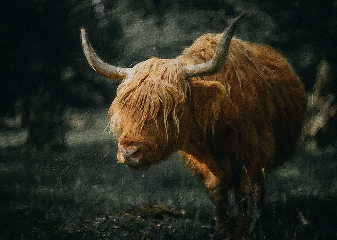cow