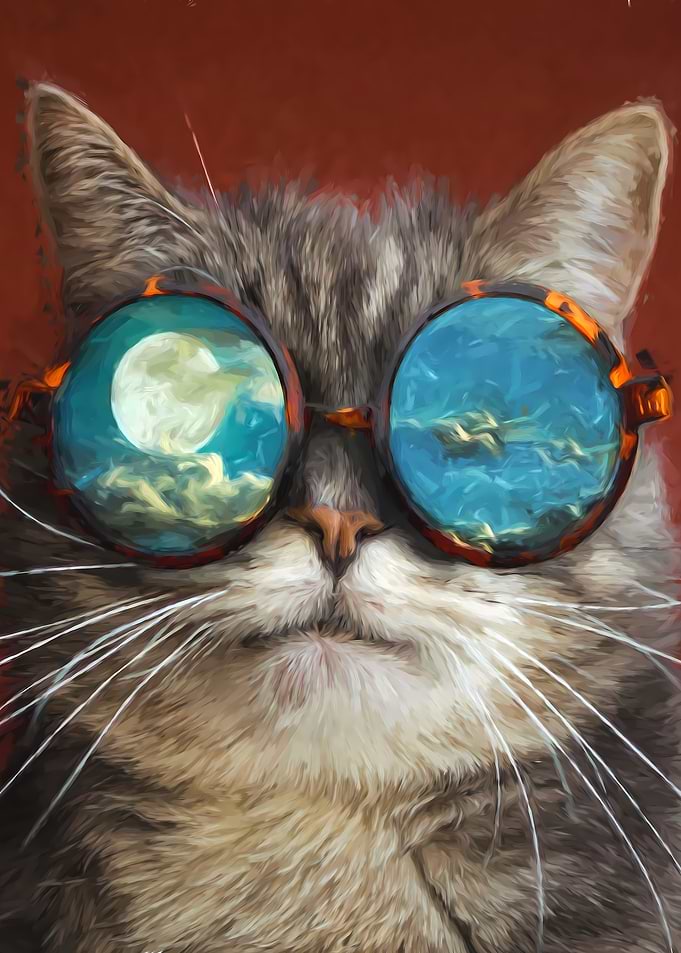 Cute Cat Wear Glasses