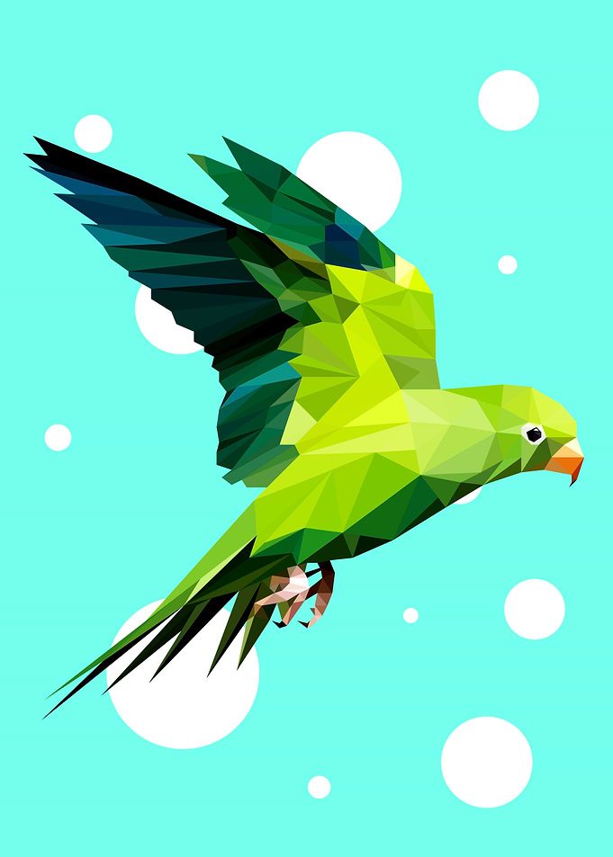 Parrot