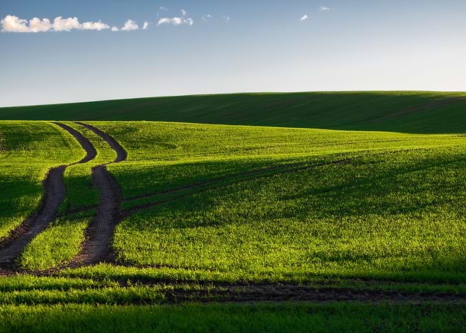Green field and cean blue