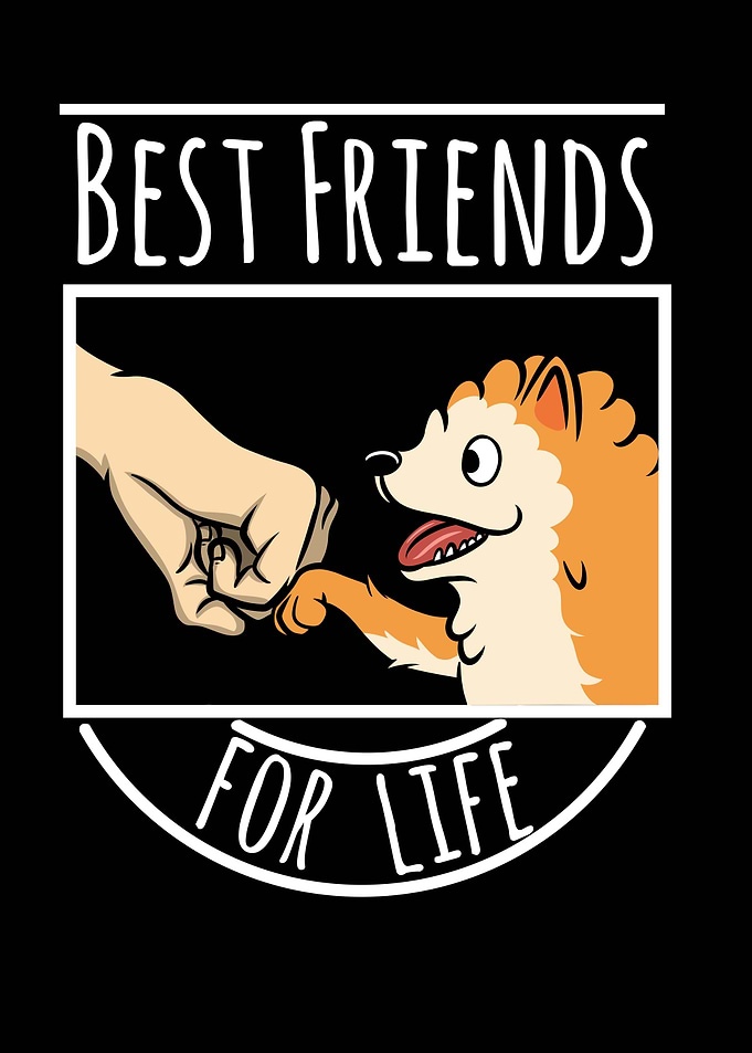 Pomeranian Best Friends