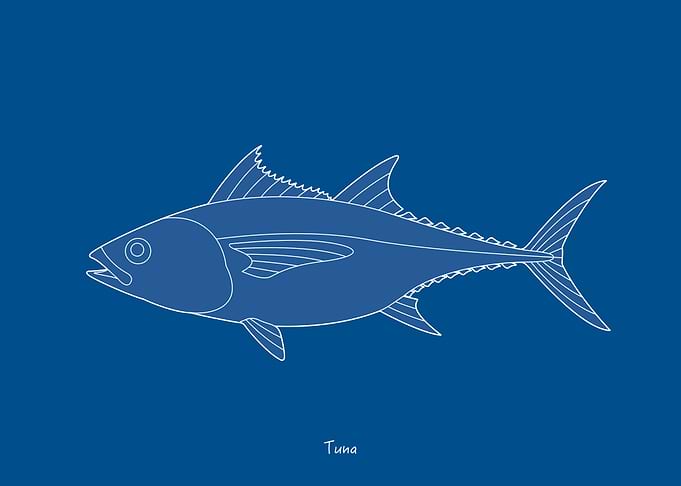 Sea Fish