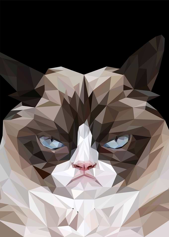 grumpy cat meme