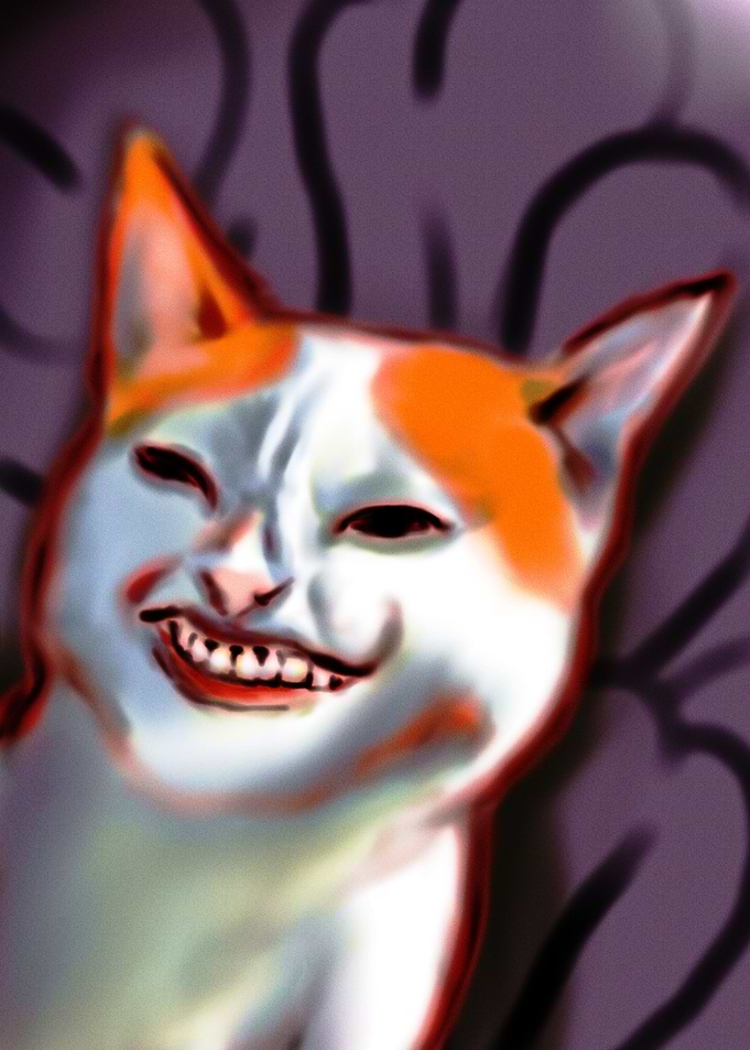 cute cat smiling meme
