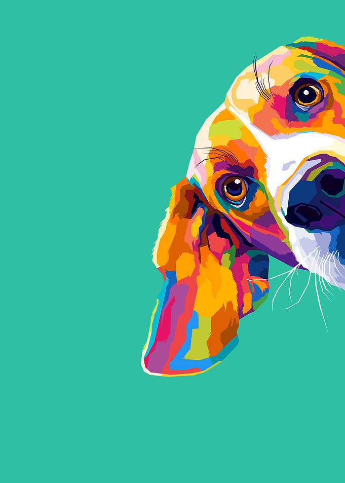 Animals Dog Pop art